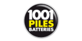 1001-Piles